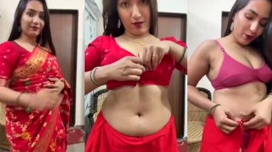 Saree Bhabhi’s Dynamic Live Performance