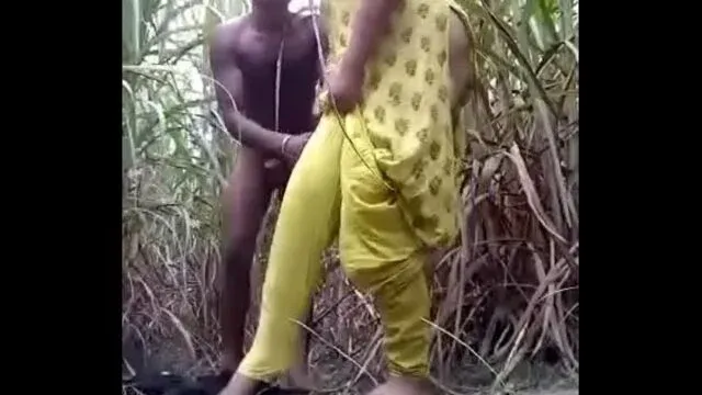 Village Girl’s Mallu Aunty Sex Sugarcane Fuck